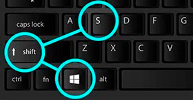 Descripción de la imagen